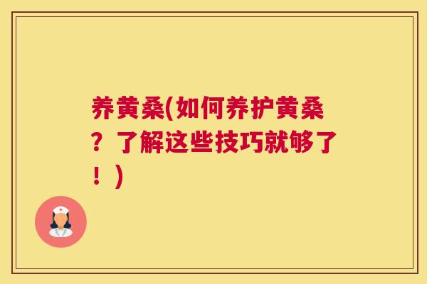 养黄桑(如何养护黄桑?了解这些技巧就够了!) 养黄桑(如何养护黄桑?了解这些技巧就够了!)