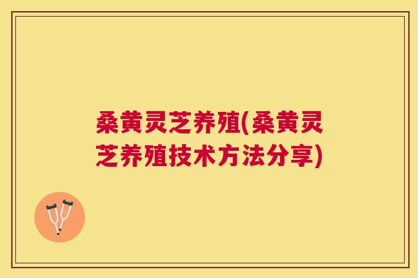 桑黄灵芝养殖(桑黄灵芝养殖技术方法分享) 桑黄灵芝养殖(桑黄灵芝养殖技术方法分享)