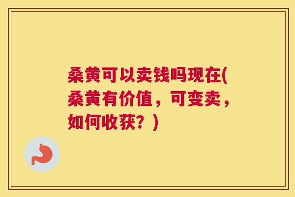 桑黄可以卖钱吗现在(桑黄有价值,可变卖,如何收获?) 桑黄可以卖钱吗现在(桑黄有价值,可变卖,如何收获?)