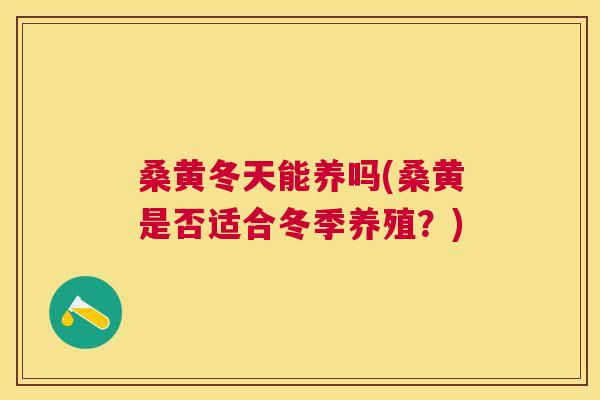 桑黄冬天能养吗(桑黄是否适合冬季养殖?) 桑黄冬天能养吗(桑黄是否适合冬季养殖?)