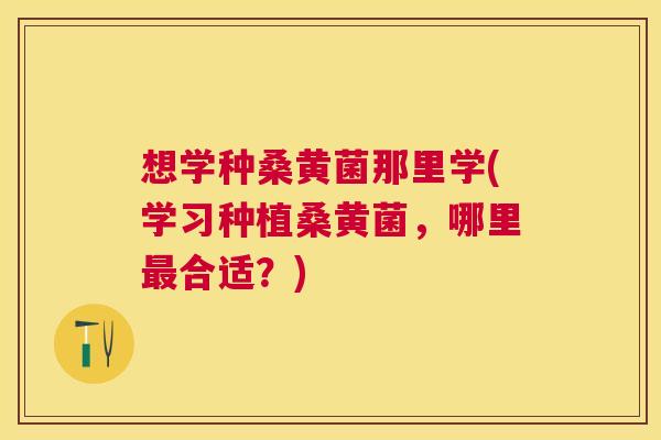 想学种桑黄菌那里学(学习种植桑黄菌,哪里合适?) 想学种桑黄菌那里学(学习种植桑黄菌,哪里合适?)