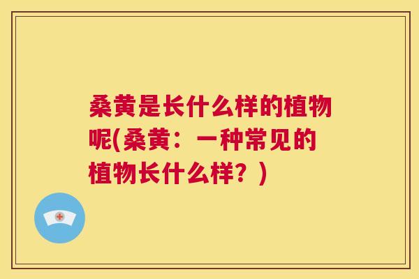 桑黄是长什么样的植物呢(桑黄:一种常见的植物长什么样?) 桑黄是长什么样的植物呢(桑黄:一种常见的植物长什么样?)