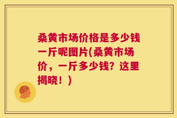 桑黄市场价格是多少钱一斤呢图片(桑黄市场价,一斤多少钱?这里揭晓!) 桑黄市场价格是多少钱一斤呢图片(桑黄市场价,一斤多少钱?这里揭晓!)