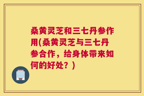 桑黄灵芝和三七丹参作用(桑黄灵芝与三七丹参合作,给身体带来如何的好处?) 桑黄灵芝和三七丹参作用(桑黄灵芝与三七丹参合作,给身体带来如何的好处?)