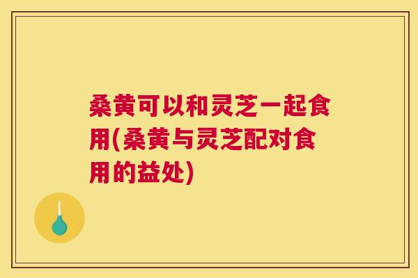 桑黄可以和灵芝一起食用(桑黄与灵芝配对食用的益处) 桑黄可以和灵芝一起食用(桑黄与灵芝配对食用的益处)