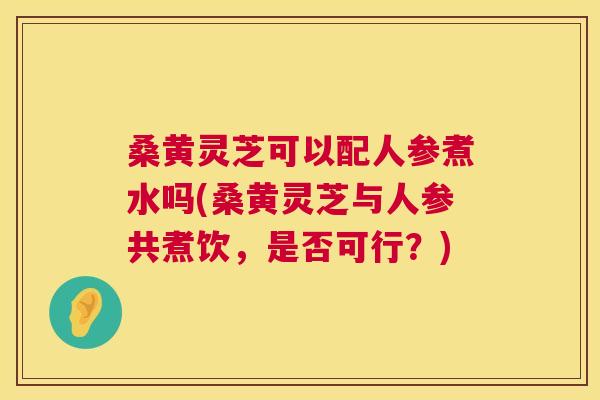 桑黄灵芝可以配人参煮水吗(桑黄灵芝与人参共煮饮,是否可行?) 桑黄灵芝可以配人参煮水吗(桑黄灵芝与人参共煮饮,是否可行?)