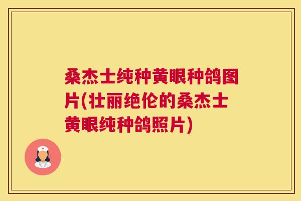 桑杰士纯种黄眼种鸽图片(壮丽绝伦的桑杰士黄眼纯种鸽照片) 桑杰士纯种黄眼种鸽图片(壮丽绝伦的桑杰士黄眼纯种鸽照片)