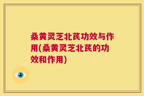 桑黄灵芝北芪功效与作用(桑黄灵芝北芪的功效和作用)
