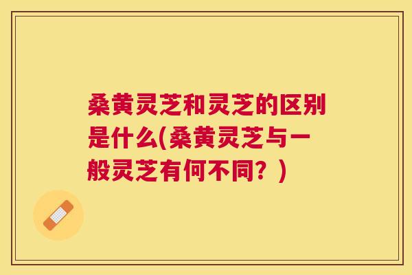 桑黄灵芝和灵芝的区别是什么(桑黄灵芝与一般灵芝有何不同?) 桑黄灵芝和灵芝的区别是什么(桑黄灵芝与一般灵芝有何不同?)