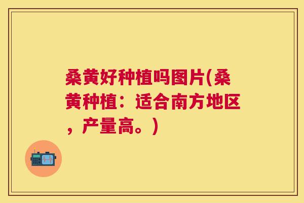 桑黄好种植吗图片(桑黄种植:适合南方地区,产量高。) 桑黄好种植吗图片(桑黄种植:适合南方地区,产量高。)