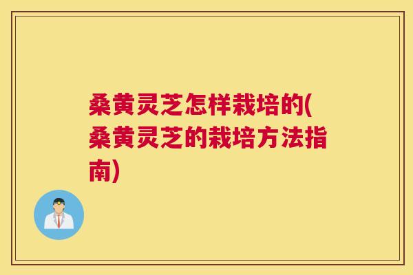 桑黄灵芝怎样栽培的(桑黄灵芝的栽培方法指南) 桑黄灵芝怎样栽培的(桑黄灵芝的栽培方法指南)
