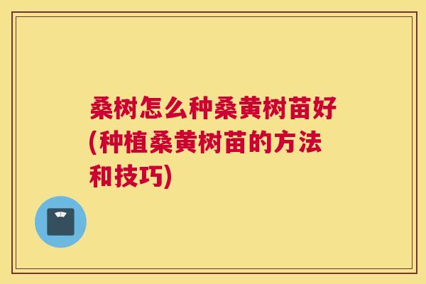 桑树怎么种桑黄树苗好(种植桑黄树苗的方法和技巧) 桑树怎么种桑黄树苗好(种植桑黄树苗的方法和技巧)