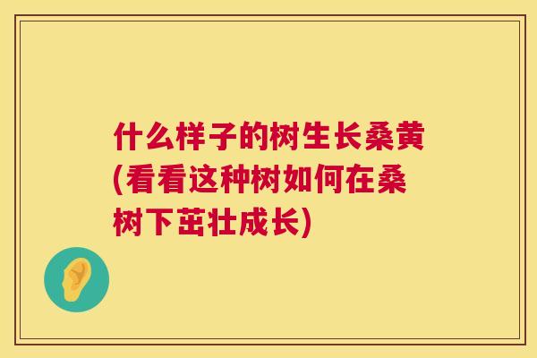 什么样子的树生长桑黄(看看这种树如何在桑树下茁壮成长) 什么样子的树生长桑黄(看看这种树如何在桑树下茁壮成长)