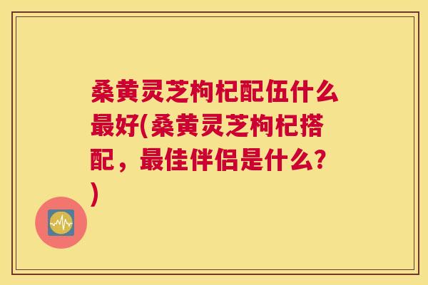 桑黄灵芝枸杞配伍什么好(桑黄灵芝枸杞搭配,佳伴侣是什么?) 桑黄灵芝枸杞配伍什么好(桑黄灵芝枸杞搭配,佳伴侣是什么?)
