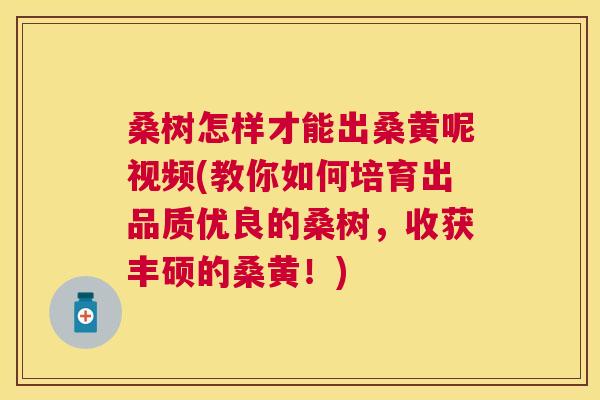 桑树怎样才能出桑黄呢视频(教你如何培育出品质优良的桑树,收获丰硕的桑黄!) 桑树怎样才能出桑黄呢视频(教你如何培育出品质优良的桑树,收获丰硕的桑黄!)