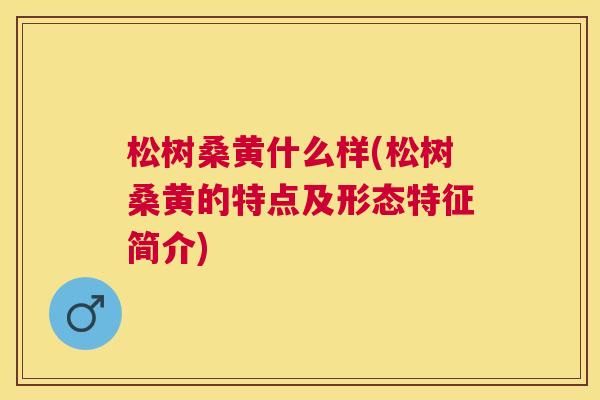 松树桑黄什么样(松树桑黄的特点及形态特征简介) 松树桑黄什么样(松树桑黄的特点及形态特征简介)