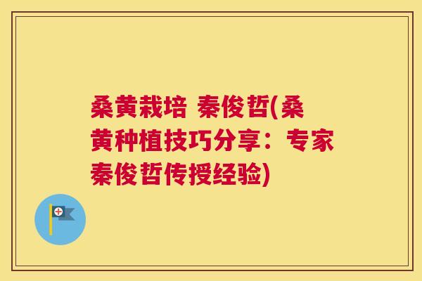 桑黄栽培 秦俊哲(桑黄种植技巧分享:专家秦俊哲传授经验) 桑黄栽培 秦俊哲(桑黄种植技巧分享:专家秦俊哲传授经验)