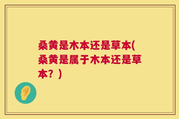 桑黄是木本还是草本(桑黄是属于木本还是草本?) 桑黄是木本还是草本(桑黄是属于木本还是草本?)