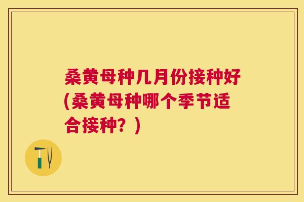 桑黄母种几月份接种好(桑黄母种哪个季节适合接种?) 桑黄母种几月份接种好(桑黄母种哪个季节适合接种?)
