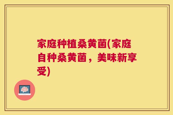 家庭种植桑黄菌(家庭自种桑黄菌,美味新享受) 家庭种植桑黄菌(家庭自种桑黄菌,美味新享受)