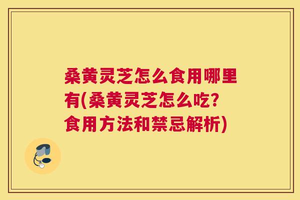 桑黄灵芝怎么食用哪里有(桑黄灵芝怎么吃?食用方法和禁忌解析) 桑黄灵芝怎么食用哪里有(桑黄灵芝怎么吃?食用方法和禁忌解析)