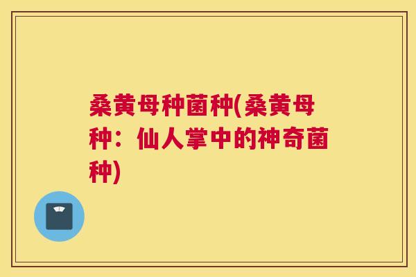 桑黄母种菌种(桑黄母种:仙人掌中的神奇菌种) 桑黄母种菌种(桑黄母种:仙人掌中的神奇菌种)