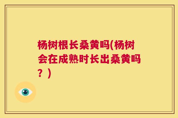 杨树根长桑黄吗(杨树会在成熟时长出桑黄吗?) 杨树根长桑黄吗(杨树会在成熟时长出桑黄吗?)