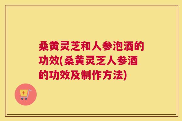 桑黄灵芝和人参泡酒的功效(桑黄灵芝人参酒的功效及制作方法) 桑黄灵芝和人参泡酒的功效(桑黄灵芝人参酒的功效及制作方法)