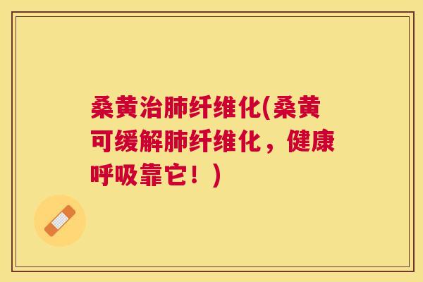 桑黄纤维化(桑黄可缓解纤维化,健康靠它!) 桑黄纤维化(桑黄可缓解纤维化,健康靠它!)