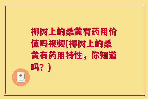 柳树上的桑黄有药用价值吗视频(柳树上的桑黄有药用特性,你知道吗?) 柳树上的桑黄有药用价值吗视频(柳树上的桑黄有药用特性,你知道吗?)
