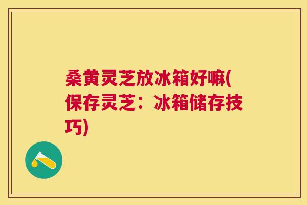 桑黄灵芝放冰箱好嘛(保存灵芝:冰箱储存技巧) 桑黄灵芝放冰箱好嘛(保存灵芝:冰箱储存技巧)