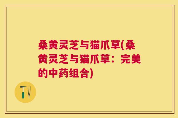 桑黄灵芝与猫爪草(桑黄灵芝与猫爪草:完美的组合) 桑黄灵芝与猫爪草(桑黄灵芝与猫爪草:完美的组合)