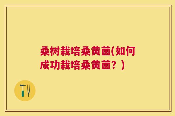 桑树栽培桑黄菌(如何成功栽培桑黄菌?) 桑树栽培桑黄菌(如何成功栽培桑黄菌?)