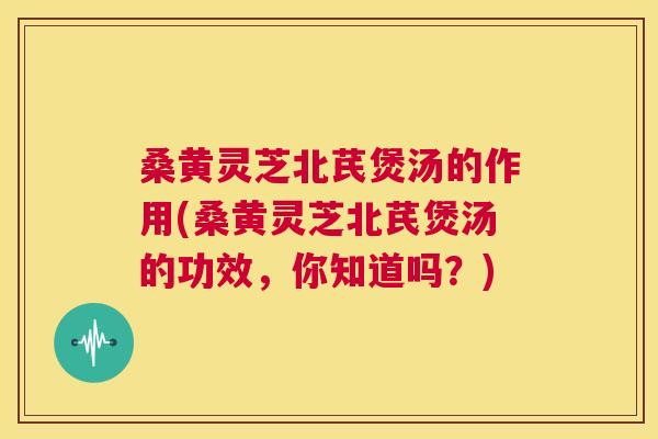 桑黄灵芝北芪煲汤的作用(桑黄灵芝北芪煲汤的功效,你知道吗?) 桑黄灵芝北芪煲汤的作用(桑黄灵芝北芪煲汤的功效,你知道吗?)