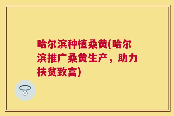 哈尔滨种植桑黄(哈尔滨推广桑黄生产,助力扶贫致富) 哈尔滨种植桑黄(哈尔滨推广桑黄生产,助力扶贫致富)
