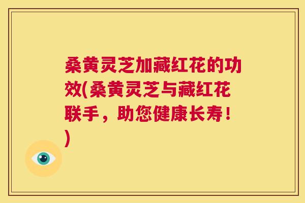 桑黄灵芝加藏红花的功效(桑黄灵芝与藏红花联手,助您健康长寿!) 桑黄灵芝加藏红花的功效(桑黄灵芝与藏红花联手,助您健康长寿!)