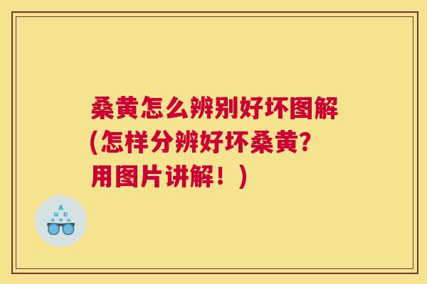 桑黄怎么辨别好坏图解(怎样分辨好坏桑黄?用图片讲解!) 桑黄怎么辨别好坏图解(怎样分辨好坏桑黄?用图片讲解!)