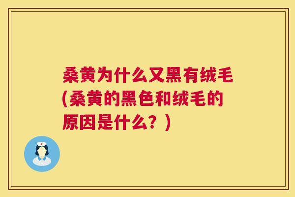 桑黄为什么又黑有绒毛(桑黄的黑色和绒毛的原因是什么?) 桑黄为什么又黑有绒毛(桑黄的黑色和绒毛的原因是什么?)