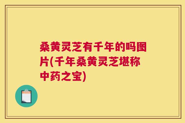 桑黄灵芝有千年的吗图片(千年桑黄灵芝堪称之宝) 桑黄灵芝有千年的吗图片(千年桑黄灵芝堪称之宝)