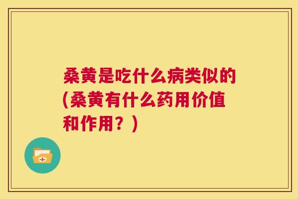 桑黄是吃什么类似的(桑黄有什么药用价值和作用?) 桑黄是吃什么类似的(桑黄有什么药用价值和作用?)