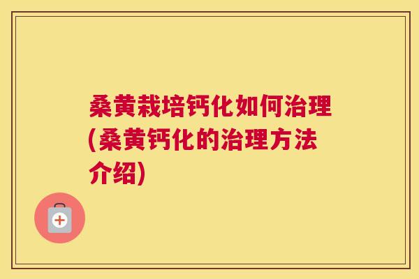 桑黄栽培钙化如何理(桑黄钙化的理方法介绍)