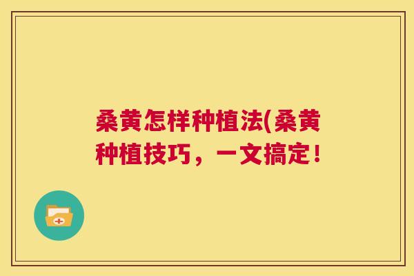 桑黄怎样种植法(桑黄种植技巧,一文搞定! 桑黄怎样种植法(桑黄种植技巧,一文搞定!