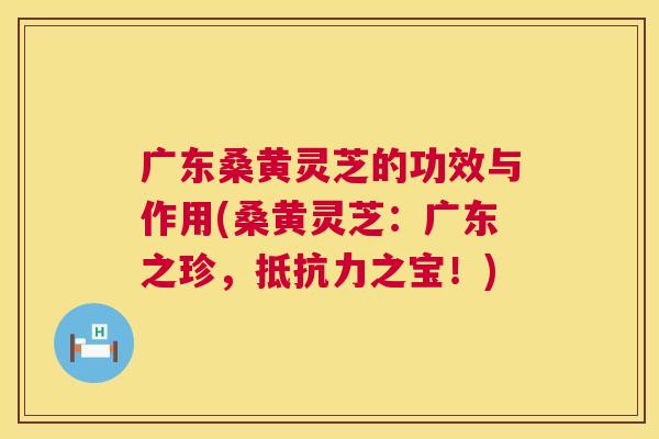 广东桑黄灵芝的功效与作用(桑黄灵芝:广东之珍,之宝!) 广东桑黄灵芝的功效与作用(桑黄灵芝:广东之珍,之宝!)