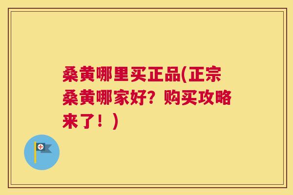 桑黄哪里买正品(正宗桑黄哪家好?购买攻略来了!) 桑黄哪里买正品(正宗桑黄哪家好?购买攻略来了!)