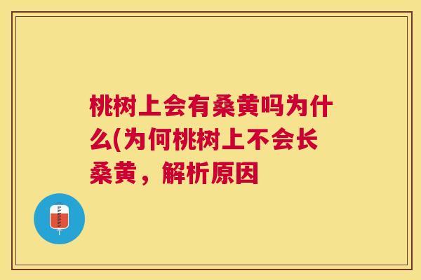 桃树上会有桑黄吗为什么(为何桃树上不会长桑黄，解析原因