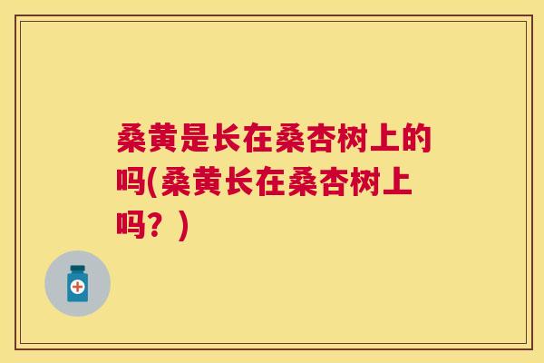 桑黄是长在桑杏树上的吗(桑黄长在桑杏树上吗?) 桑黄是长在桑杏树上的吗(桑黄长在桑杏树上吗?)