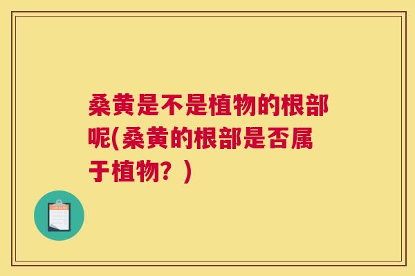 桑黄是不是植物的根部呢(桑黄的根部是否属于植物?) 桑黄是不是植物的根部呢(桑黄的根部是否属于植物?)