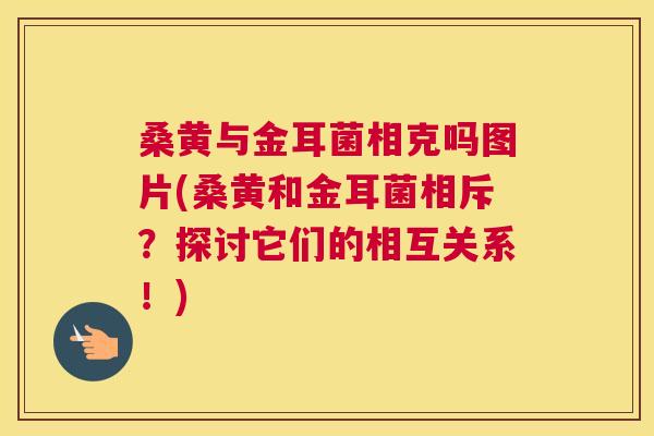 桑黄与金耳菌相克吗图片(桑黄和金耳菌相斥？探讨它们的相互关系！)