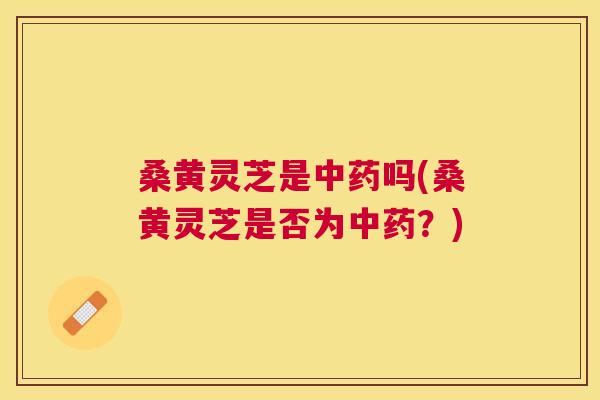 桑黄灵芝是吗(桑黄灵芝是否为?) 桑黄灵芝是吗(桑黄灵芝是否为?)