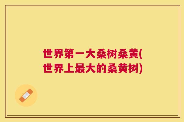 世界第一大桑树桑黄(世界上大的桑黄树) 世界第一大桑树桑黄(世界上大的桑黄树)